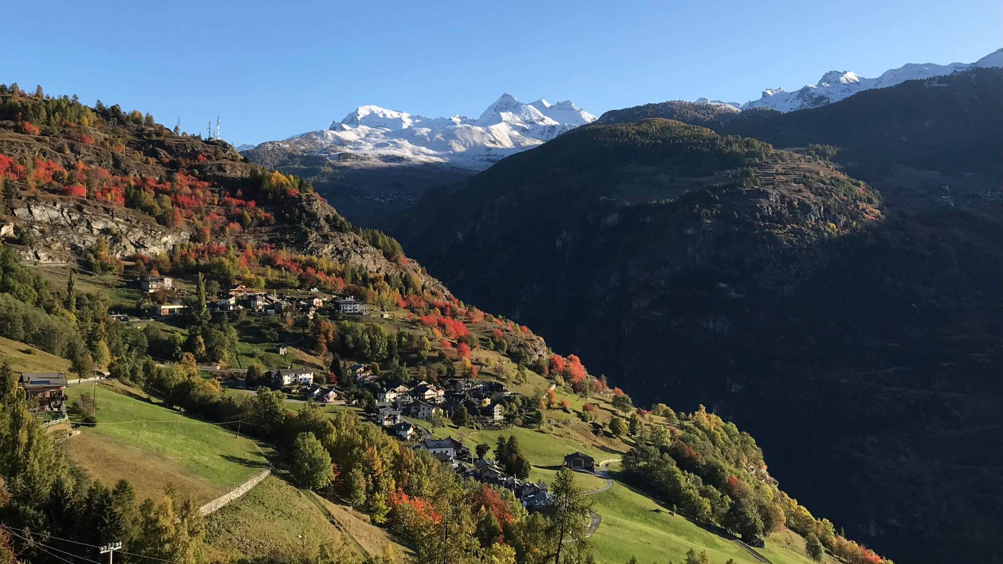 Immobiliare Coeur des Alpes